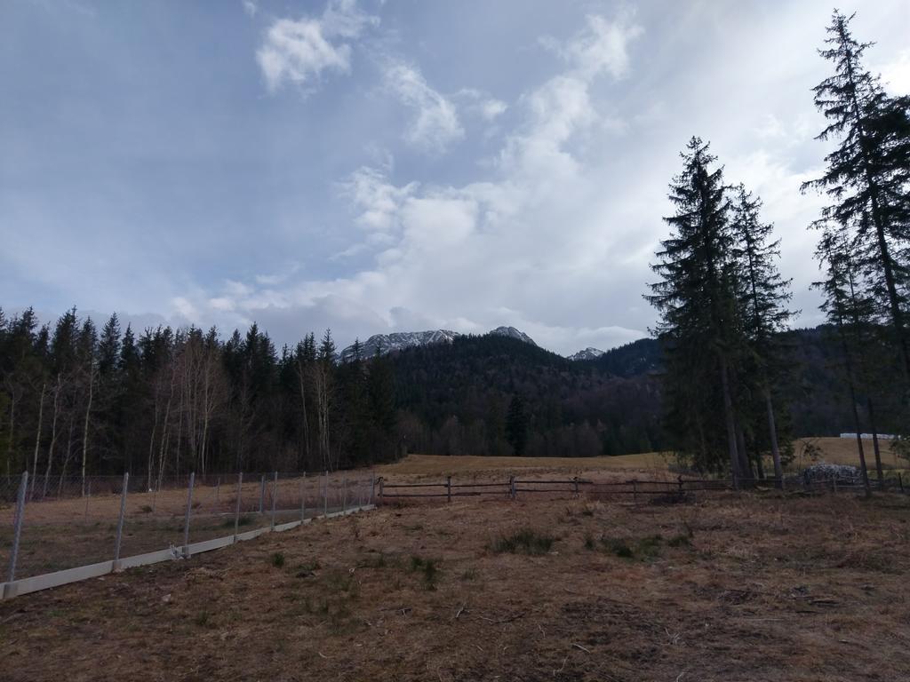 Apartamencik Z Widokiem Na Giewont Zakopane Eksteriør billede